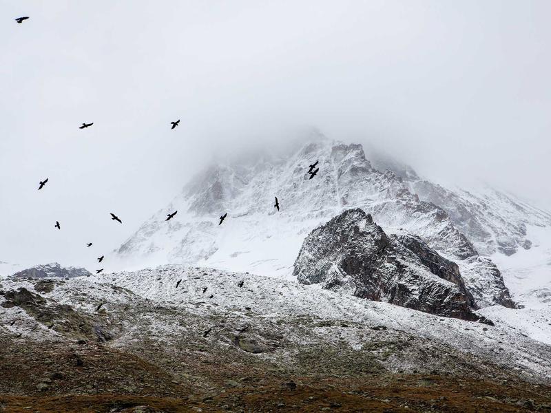 sudoku candidates screenshot 1